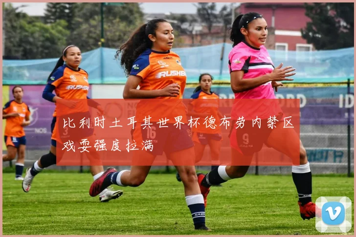 比利时土耳其世界杯德布劳内禁区戏耍强度拉满