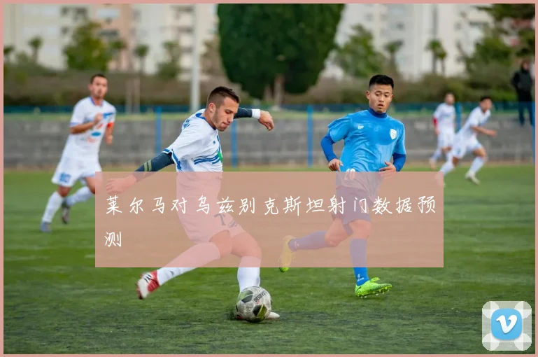 莱尔马对乌兹别克斯坦射门数据预测