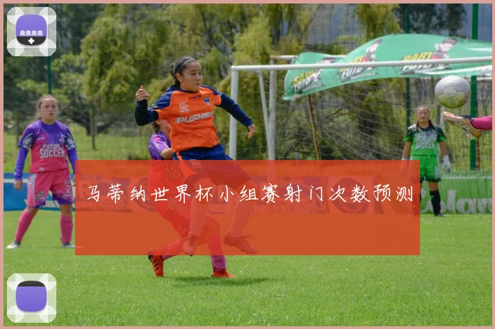 马蒂纳世界杯小组赛射门次数预测