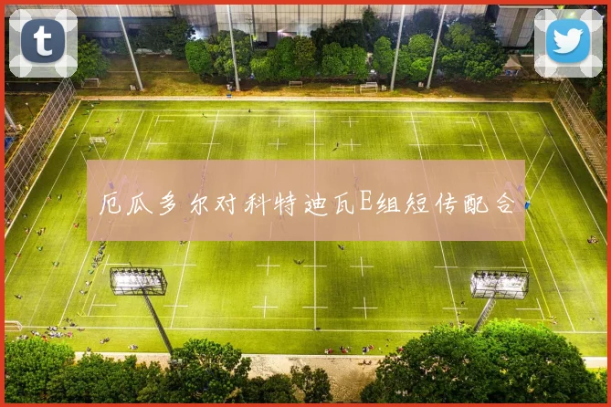 厄瓜多尔对科特迪瓦E组短传配合