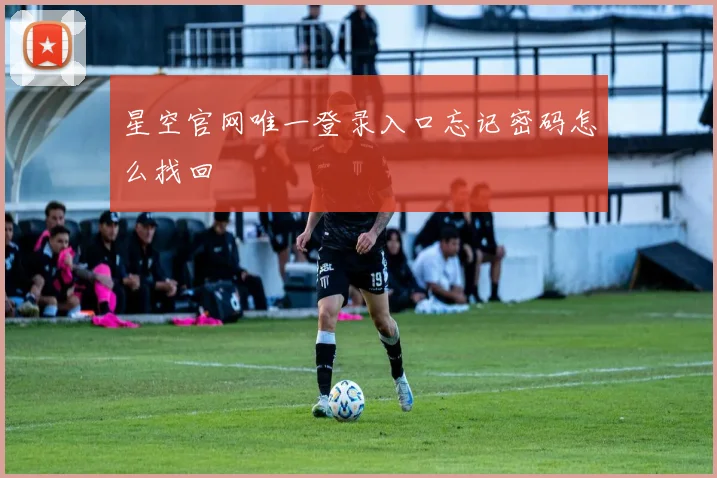 星空官网唯一登录入口忘记密码怎么找回
