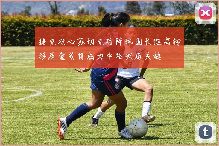 捷克核心苏切克对阵韩国长距离转移质量或将成为中路破局关键