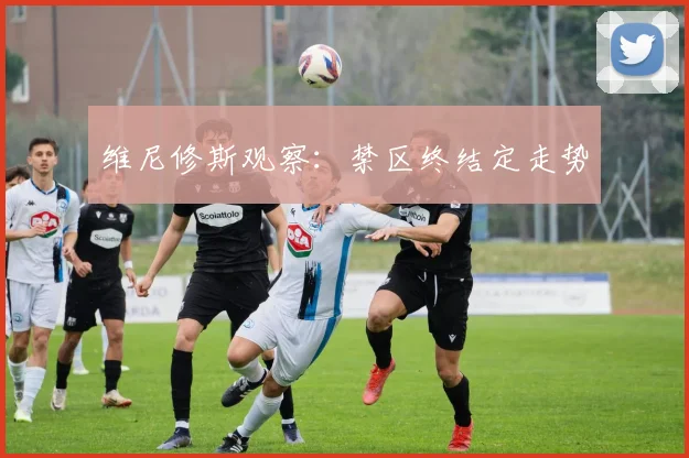 维尼修斯观察:禁区终结定走势